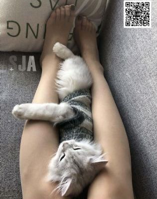 圣诞已近