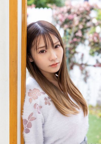 凤嘲凰